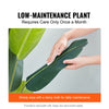 VEVOR Artificial Birds Of Paradise Tree, 5 FT Tall Faux Plant, PE Material & Anti-Tip Tilt Protection Low-Maintenance Plant, Lifelike Green Fake Tree for Home Office Warehouse Decor Indoor Outdoor