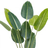 VEVOR Artificial Birds Of Paradise Tree, 5 FT Tall Faux Plant, PE Material & Anti-Tip Tilt Protection Low-Maintenance Plant, Lifelike Green Fake Tree for Home Office Warehouse Decor Indoor Outdoor