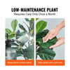 VEVOR Artificial Fiddle Leaf Fig Tree, 6 FT, Secure PE Material & Anti-Tip Tilt Protection Low-Maintenance Faux Plant, Lifelike Green Fake Potted Tree for Home Office Warehouse Decor Indoor Outdoor