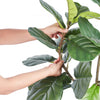 VEVOR Artificial Fiddle Leaf Fig Tree, 6 FT, Secure PE Material & Anti-Tip Tilt Protection Low-Maintenance Faux Plant, Lifelike Green Fake Potted Tree for Home Office Warehouse Decor Indoor Outdoor