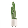 VEVOR Artificial Cactus, 24 in Tall Fake Cactus Plant with White Pot 1 Pack, for Home, Garden, Office, Living Room, Bedroom Indoor Decoration, Realistic Texture Large Faux Decor Plant, Premium HDPE