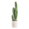 VEVOR Artificial Cactus, 24 in Tall Fake Cactus Plant with White Pot 1 Pack, for Home, Garden, Office, Living Room, Bedroom Indoor Decoration, Realistic Texture Large Faux Decor Plant, Premium HDPE