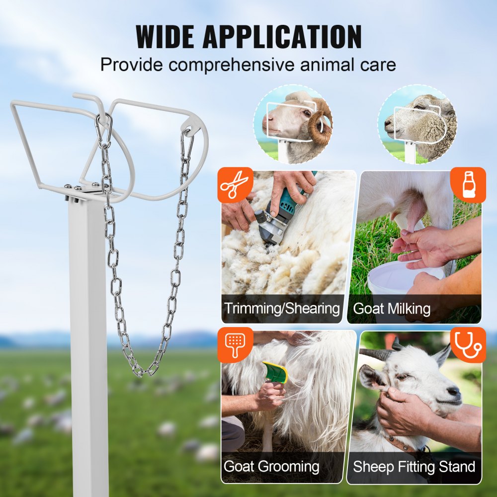 VEVOR Goat & Sheep Stand, 51x23 inch Livestock Stand, Metal Livestock Milking and Shearing Stand 21" to 33" Adjustable Height, with Headpiece and Nose Loop, 500lbs Loading Weight, White