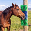 VEVOR Livestock Scratching Brush, 1PC Goat Scratcher Brush Post with 4 Screws, 16.9" x 7.5" Cow Scratcher for Back Itch Relief, Massage Grooming Scratch Tool for Horse Cattle Sheep Pig, Green & Blue
