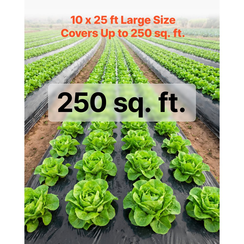 VEVOR 6 Mil Plastic Sheeting 10' x 25' Black Heavy Duty Polyethylene Roll, Thick Plastic Roll for Garden, Drop Cloth Painters Tarp, Polyethylene Covering for Crawl Space Vapor Barrier, Weed Control