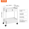 VEVOR Lab Cart, 2 Tiers Stainless Steel Utility Cart, Medical Cart with 2 Drawers, Rolling Lab Cart White Paint, Serving Cart with Swivel Casters for Laboratory, Hospital, Dental, Salon and Beauty