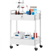 VEVOR Lab Cart, 2 Tiers Stainless Steel Utility Cart, Medical Cart with 2 Drawers, Rolling Lab Cart White Paint, Serving Cart with Swivel Casters for Laboratory, Hospital, Dental, Salon and Beauty