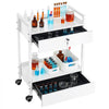 VEVOR Lab Cart, 2 Tiers Stainless Steel Utility Cart, Medical Cart with 2 Drawers, Rolling Lab Cart White Paint, Serving Cart with Swivel Casters for Laboratory, Hospital, Dental, Salon and Beauty
