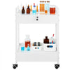 VEVOR Lab Cart, 2 Tiers Stainless Steel Utility Cart, Medical Cart with 2 Drawers, Rolling Lab Cart White Paint, Serving Cart with Swivel Casters for Laboratory, Hospital, Dental, Salon and Beauty
