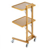 VEVOR 2 Tiers Stainless Steel Lab Carts, Lab Utility Cart with 2 Trays, Mobile Medical Cart with 4 Silent Wheels, Lab Rolling Cart for Lab, Clinic, Hospital, Salon, Golden
