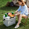VEVOR Hard Cooler, 17QT Portable Cooler, Leak-Resistant Coolbox Keeps Contents Cool for 48 Hours, Insulated Chests with Ice Retention and Heavy-Duty Handle, Ultra-Light for Camping, Concerts, Sports
