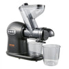 VEVOR Slow Masticating Juicer, 2-Speed Mode Cold Press Juicer Machine with Reverse Function, Quiet Motor Slow Juicer, Juice Extractor Maker Easy to Clean with Brush, for High Nutrient Fruit Vegetable