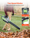 VEVOR cordless leaf blower - two speed modes and turbo button feature graphic