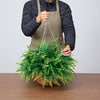 VEVOR Artificial Ferns, 2 Pcs Fake Hanging Boston Fern Bush Plant with 23 Inch Hanging Length, Plastic Faux Greenery for Indoor and Outdoor Decor, For Wall, Wedding Party, Home, Porch Garden, Office