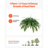 VEVOR Artificial Ferns, Natural Spread Diameter 37-41 Inch, Large Hanging Fake Boston Ferns, Sunlight Resistant Fake Plant Wall Decor with 80 Branches and Flowerpot, Faux Fern for Home Office Outdoor