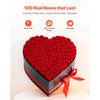 VEVOR Forever Flowers, 100 Preserved Roses in a Heart Shape Box, Eternal Flowers Immortal Bouquet Birthday Present for Women Her Wife Mothers, Anniversary, Valentine's Day,Christmas, Red