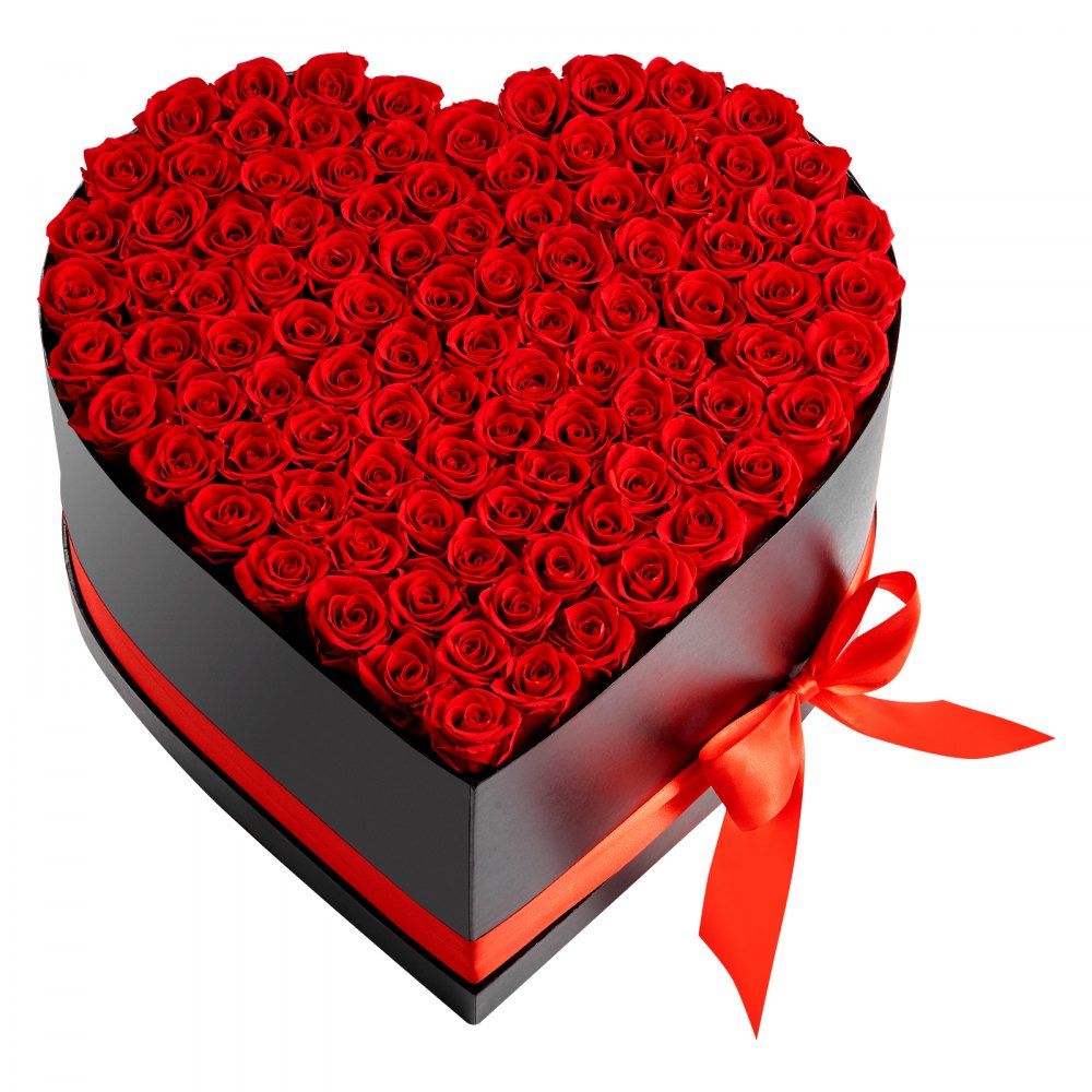 VEVOR Forever Flowers, 100 Preserved Roses in a Heart Shape Box, Eternal Flowers Immortal Bouquet Birthday Present for Women Her Wife Mothers, Anniversary, Valentine's Day,Christmas, Red
