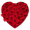 VEVOR Forever Flowers, 27 Preserved Roses in a Heart Shape Box, Eternal Flowers Immortal Bouquet Birthday Present for Delivery Prime Women Her Wife Mothers, Anniversary, Valentine's Day,Christmas, Red