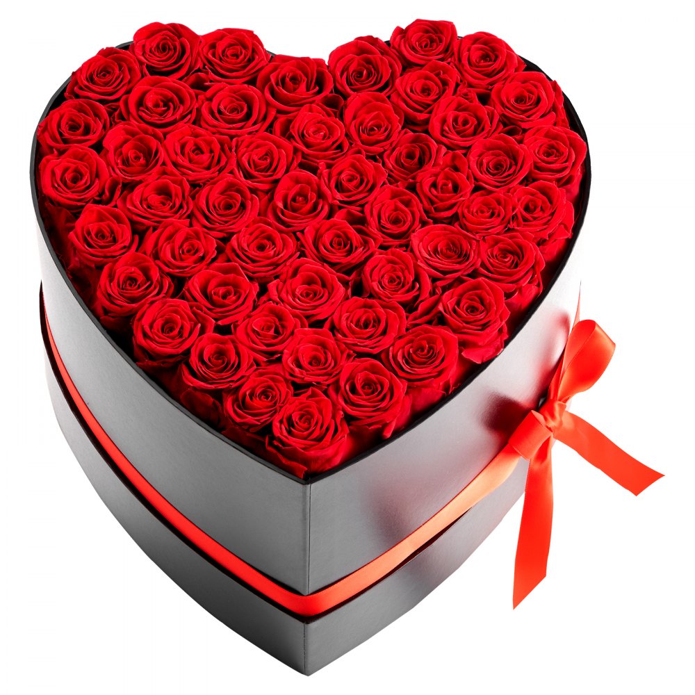VEVOR Forever Flowers, 50 Preserved Roses in a Heart Shape Box, Eternal Flowers Immortal Bouquet Birthday Present for Delivery Prime Women Her Wife Mothers, Anniversary, Valentine's Day,Christmas, Red