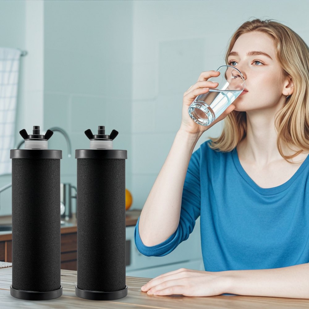 VEVOR Water Filters Replacement, Purification Elements, Activated Carbon Replacement Filters, Easy to Replace Water Filter, Gravity Water Filter System, Compatible with Most Brands, Pack of 2, Black