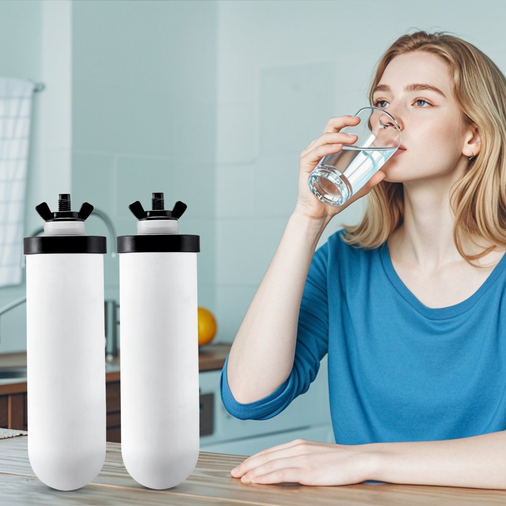 VEVOR Water Filters Replacement, Purification Elements, Ceramic Replacement Filters, Easy to Replace Water Filter, Gravity Water Filter System, Compatible with Most Brands, Pack of 2, White