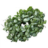 VEVOR Artificial Decorative Wreath, 26 in, Green, Decorated with Eucalyptus Leaves, Berries, Thorny Stems, Year Round Wreath for All Seasons Indoor and Outdoor Home Wall Window Festival Decorations