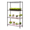 VEVOR Plant Shelf with Grow Light, 4-Tier Indoor Plant Stand, 59in Tall Plants Display Rack with Wheels, 90W 3-Color Full Spectrum Grow Lights, Heavy Duty Metal Flower Pot Holder for Seed Starting