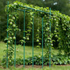 VEVOR Garden Stakes, 25 Pack, 82.68 inch, Plastic Coated Metal Tomato Stakes, Garden Sticks for Plants Support, with Pointed End and Non-Slip Bumps for Growing Climbing Plants, Outdoor Vegetables
