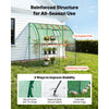 VEVOR Walk-in Green House, 78 x 39.4 x 78.7 in, Greenhouse with Shelves, High Strength PE Cover with Zipper Door and Steel Frame, Assembly in Minutes, Suitable for Planting and Storage