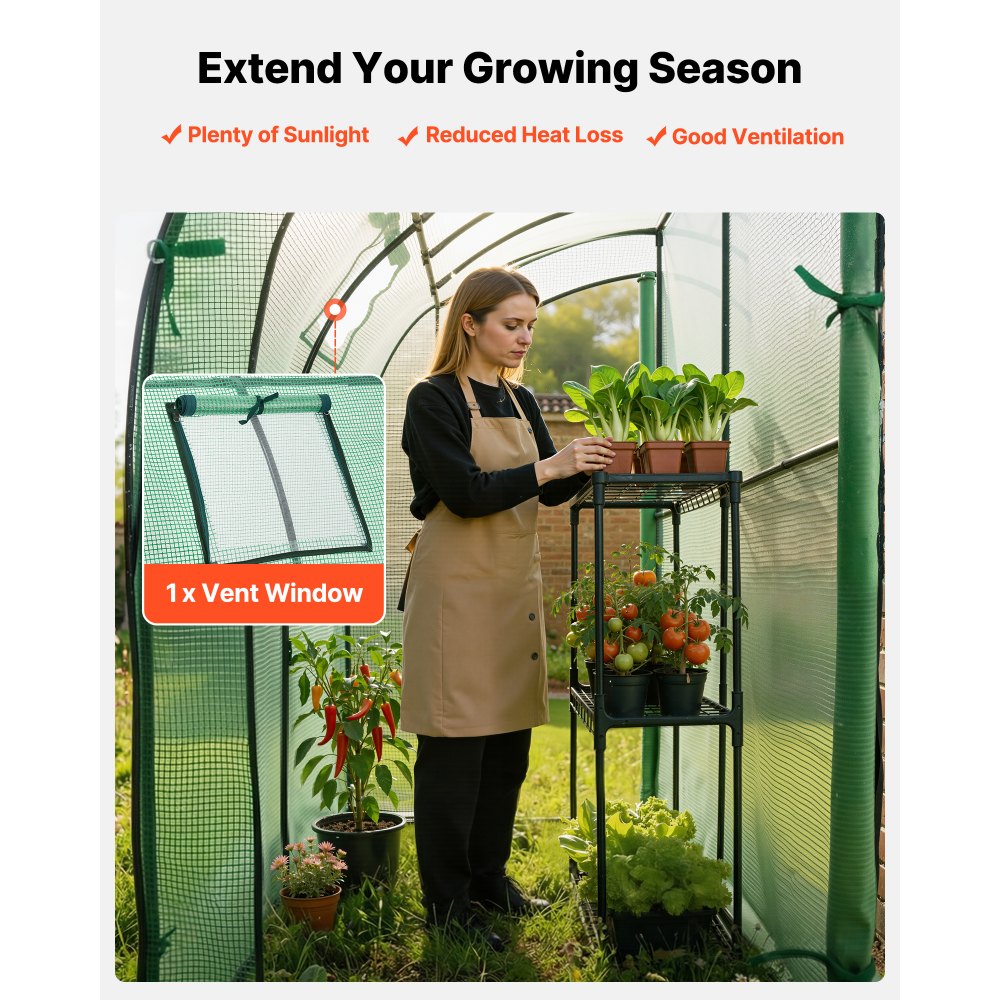 VEVOR Walk-in Green House, 78 x 39.4 x 78.7 in, Greenhouse with Shelves, High Strength PE Cover with Zipper Door and Steel Frame, Assembly in Minutes, Suitable for Planting and Storage