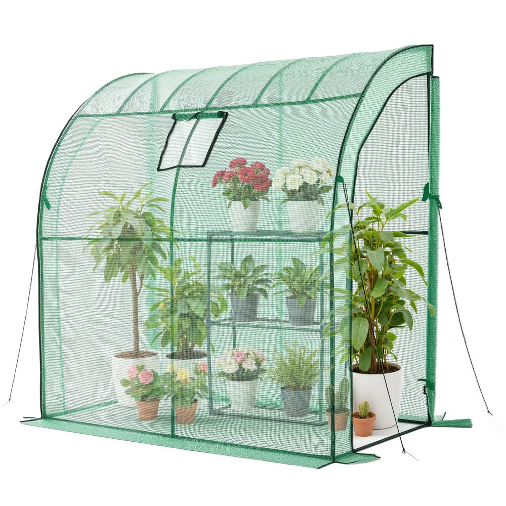 VEVOR Walk-in Green House, 78 x 39.4 x 78.7 in, Greenhouse with Shelves, High Strength PE Cover with Zipper Door and Steel Frame, Assembly in Minutes, Suitable for Planting and Storage