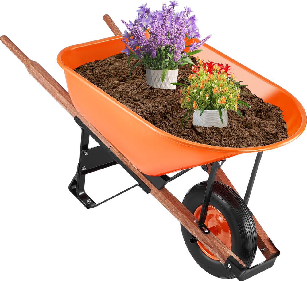 Featured image for product 8003327787197