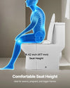 Vevor One-Piece Toilet Elongated Dual-Flush 1.0/1.28 GPF 16 in. Seat Height 12 in. Rough-in New