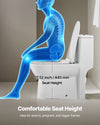 Vevor One-Piece Toilet Elongated Vortex Dual Flush 1/1.28 GPF New