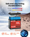 Vevor Solar Power Kit 200W 12V with 2 100W Panels LFP Battery 800W Inverter New