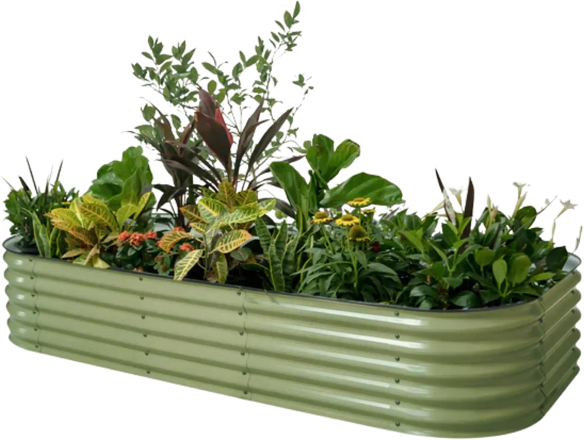 Vego Garden 10-In-1 Jumbo Modular Raised Garden Bed Kit 17