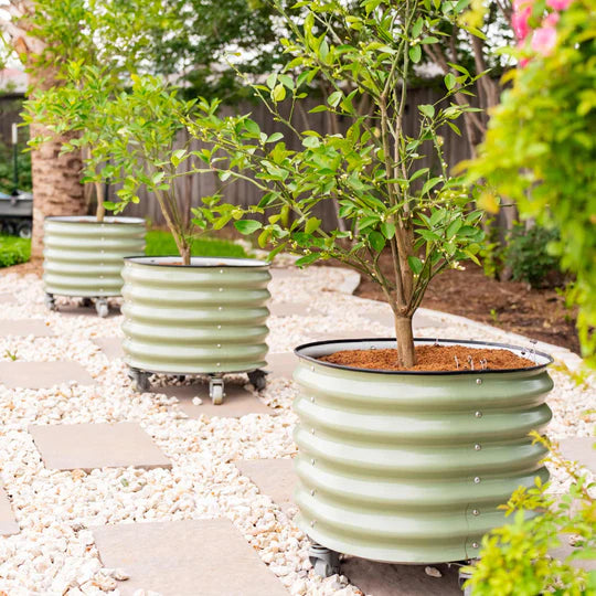 vego garden self watering planter Vego Garden Self-Watering Rolling Planter 2' x 2' New White / Single Pack