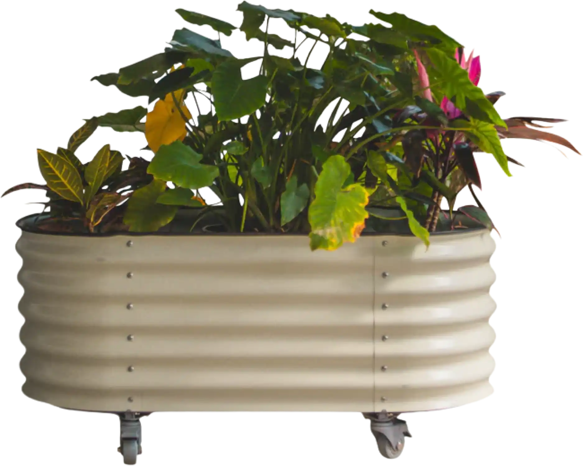 Vego Garden Self-Watering Rolling Garden Bed 2' x 4' New