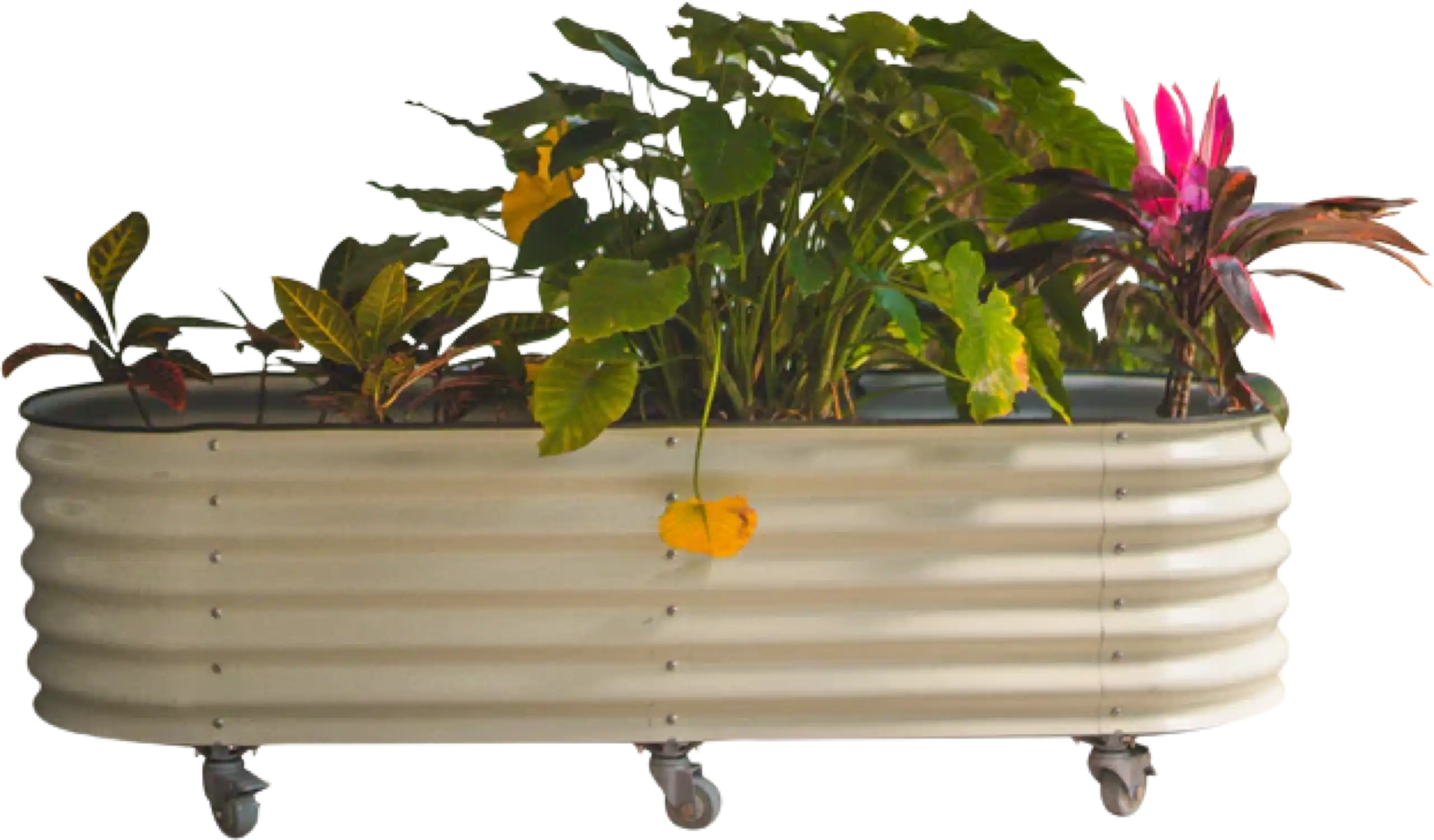 Vego Garden Self-Watering Rolling Garden Bed 2' x 6' New