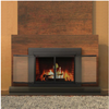 Pleasant Hearth Alpine Medium 32.5 by 37.5 in. Opening Glass Fireplace Doors Black New