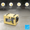 AlorAir Sentinel HD55 Gold Basement/Crawlspace Commercial Dehumidifier Removal 120 PPD with Drain Hose, Auto Defrost, And Memory Restart New