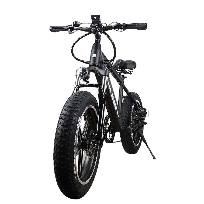 NAKTO 20 inch 300W 20 MPH Discovery Fat Tire Electric Bicycle 6 Speed E-Bike 48V Lithium Battery New