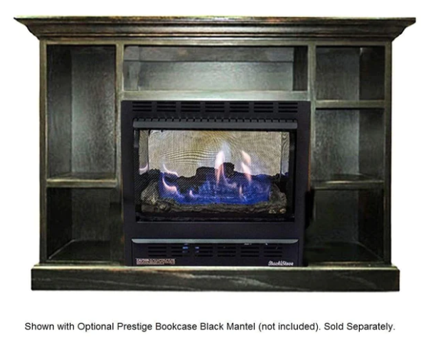 Buck Stove Model 1110 10,000 BTU's Vent Free Gas Stove New