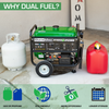 DuroMax XP5250EH 4200W/5250W Dual Fuel Electric Start Generator New