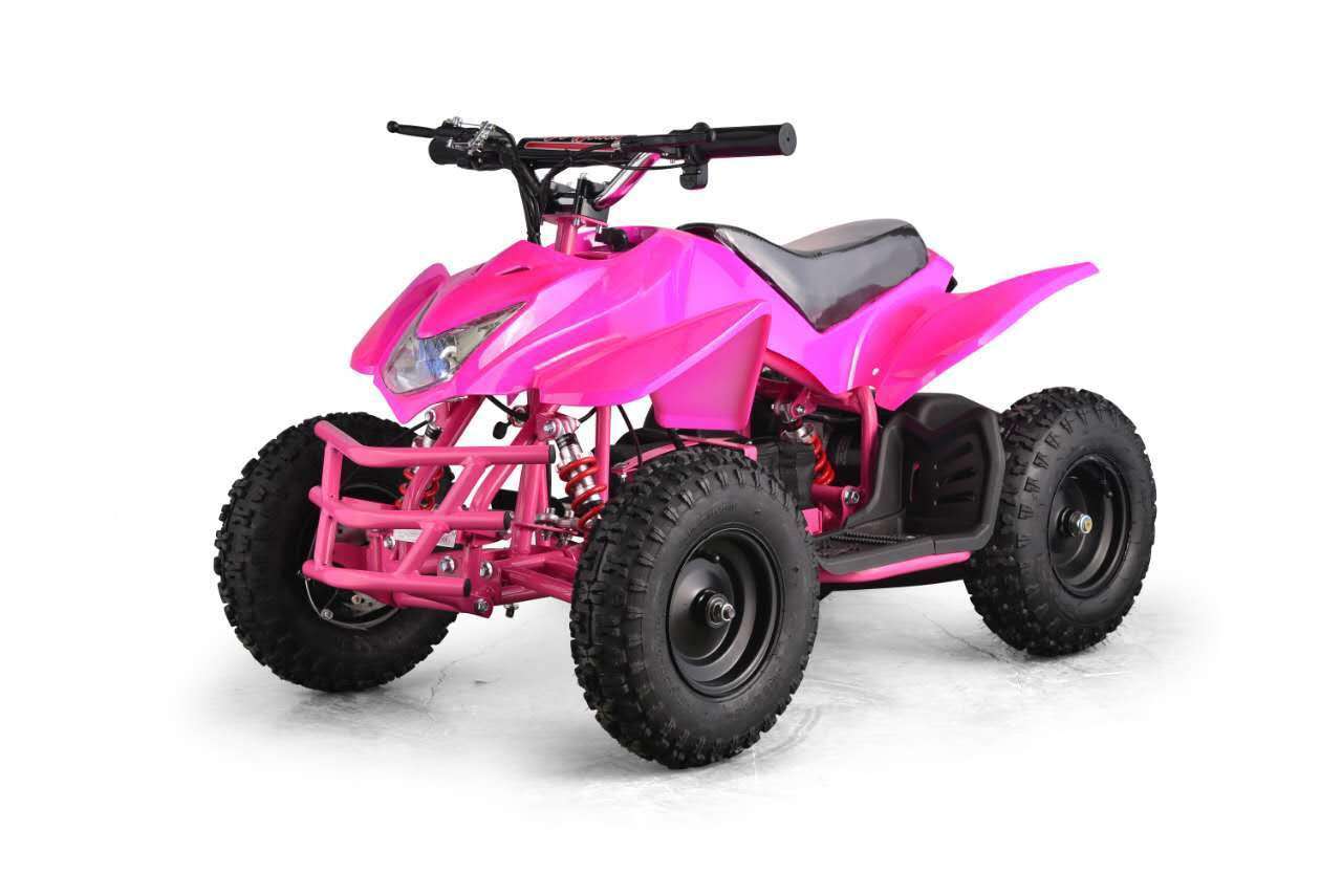 Go-Bowen XW-EA23-P Titan Mini Quad Dirt Bike ATV Pink New
