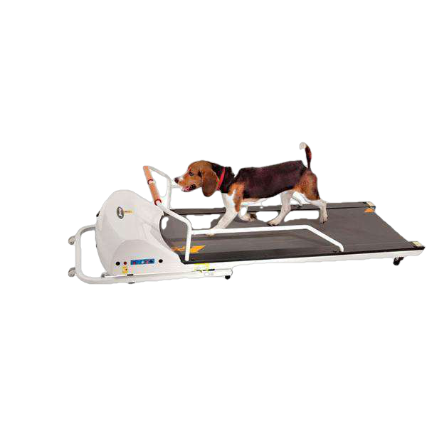 GoPet PR720F PetRun up to 132 pounds Small Medium Dog Treadmill New