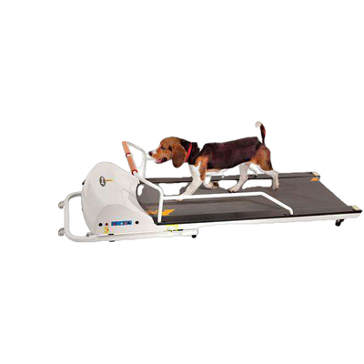 GoPet PR720F PetRun up to 132 pounds Small Medium Dog Treadmill New