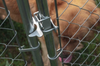 Aleko DOGKENNEL7X7X6-AP 7.5 x 7.5 x 6 Feet DIY Chain Link Dog Kennel New