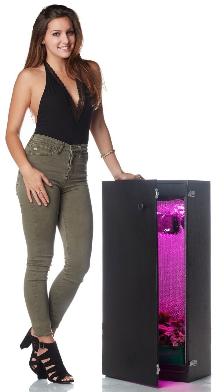 Dealzer Cash Crop 8.0 6 Plant LED Hydroponics Grow Box New