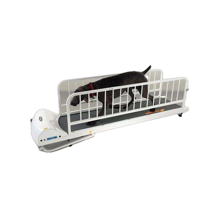 GoPet PR725 PetRun 25 Inch Large Breed up to 176 pounds Large Dog Treadmill New